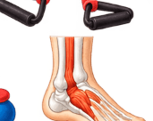 An anatomical foot illustration — understanding Sophie's physical experience day to day